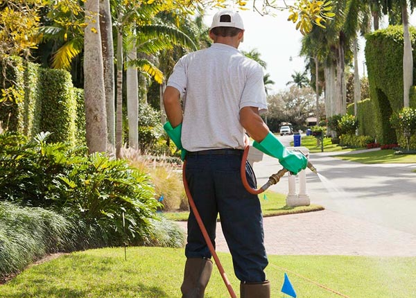 About Jonestown PA Pest Control